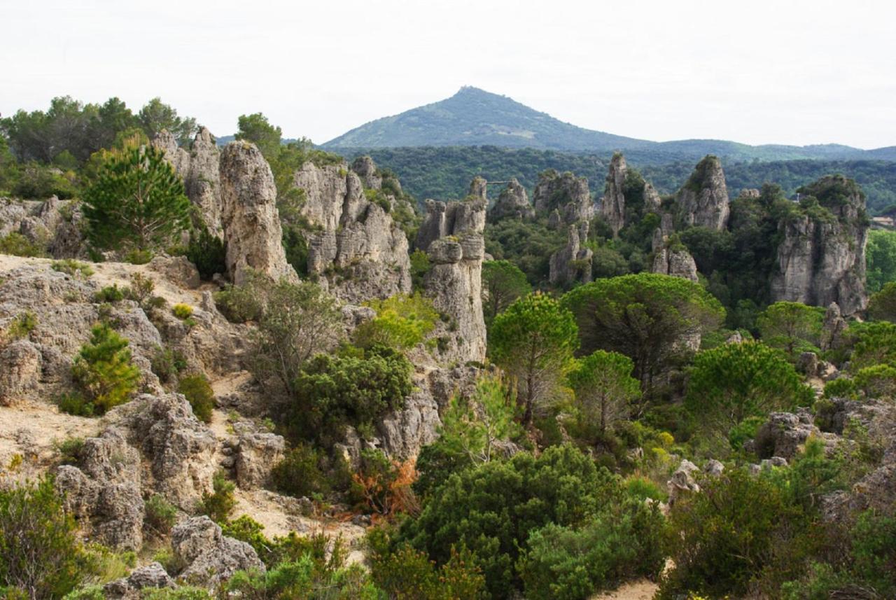"Le Cocon"-Meuble De Tourisme 3 Etoiles -Residence "Les Logis De Beziers"-Garage Optionnel-Coeur De Ville-Plages A 16Km ! 외부 사진